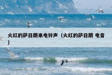 火红的萨日朗来电铃声（火红的萨日朗 电音）