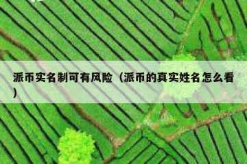 派币实名制可有风险（派币的真实姓名怎么看）