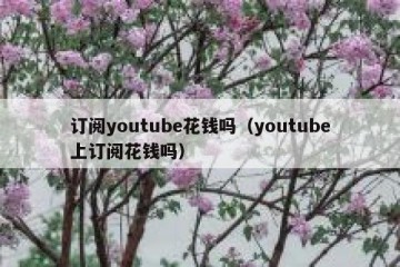 订阅youtube花钱吗（youtube上订阅花钱吗）