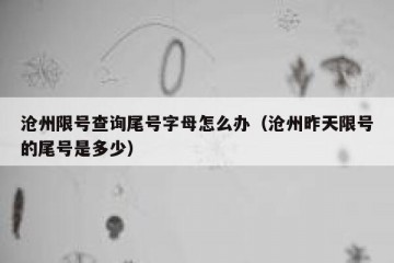 沧州限号查询尾号字母怎么办（沧州昨天限号的尾号是多少）