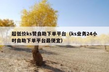 超低价ks赞自助下单平台（ks业务24小时自助下单平台最便宜）