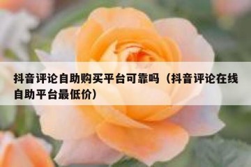 抖音评论自助购买平台可靠吗（抖音评论在线自助平台最低价）