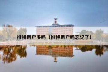 推特用户多吗（推特用户吗忘记了）