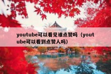 youtube可以看见谁点赞吗（youtube可以看到点赞人吗）