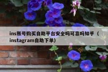 ins账号购买自助平台安全吗可靠吗知乎（instagram自助下单）