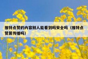 推特点赞的内容别人能看到吗安全吗（推特点赞算传播吗）