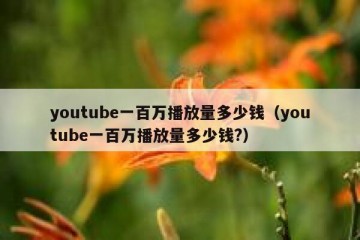 youtube一百万播放量多少钱（youtube一百万播放量多少钱?）