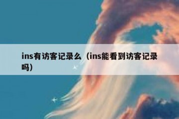 ins有访客记录么（ins能看到访客记录吗）