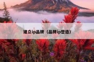 建立ip品牌(品牌ip塑造)