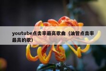 youtube点击率最高歌曲（油管点击率最高的歌）