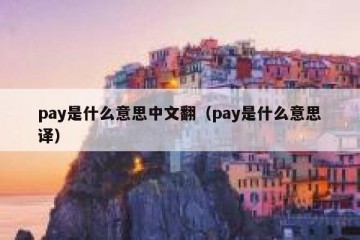 pay是什么意思中文翻（pay是什么意思译）