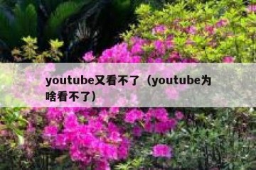 youtube又看不了（youtube为啥看不了）