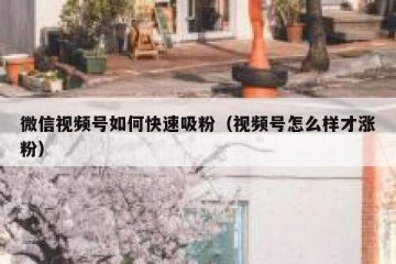 微信视频号如何快速吸粉（视频号怎么样才涨粉）
