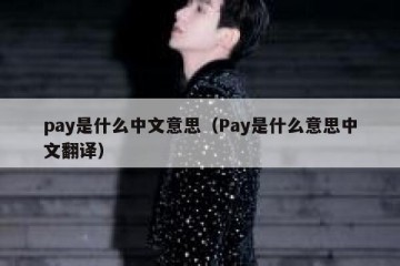 pay是什么中文意思（Pay是什么意思中文翻译）