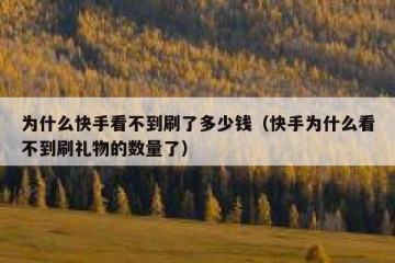 为什么快手看不到刷了多少钱（快手为什么看不到刷礼物的数量了）