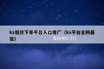 ks低价下单平台入口推广（ks平台全网最低）