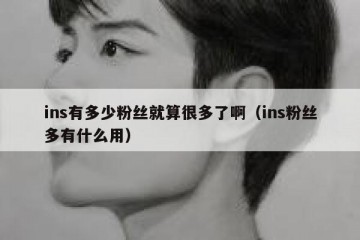 ins有多少粉丝就算很多了啊（ins粉丝多有什么用）