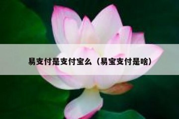 易支付是支付宝么（易宝支付是啥）