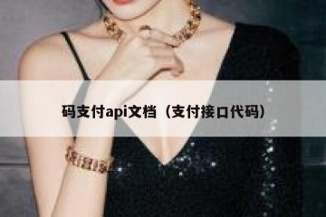 码支付api文档（支付接口代码）