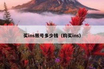 买ins账号多少钱（购买ins）