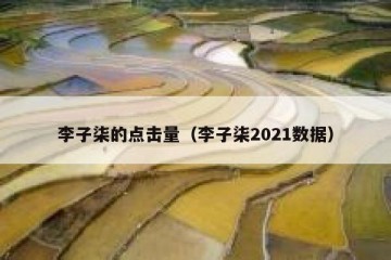 李子柒的点击量（李子柒2021数据）