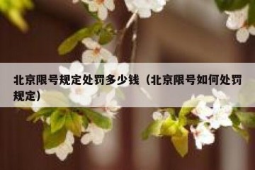 北京限号规定处罚多少钱（北京限号如何处罚规定）