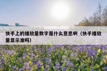 快手上的播放量数字是什么意思啊（快手播放量显示准吗）