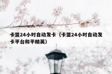 卡盟24小时自动发卡（卡盟24小时自动发卡平台和平精英）