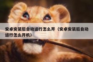安卓安装后自动运行怎么开（安卓安装后自动运行怎么开机）
