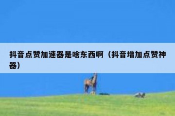 抖音点赞加速器是啥东西啊（抖音增加点赞神器）