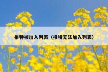 推特被加入列表（推特无法加入列表）