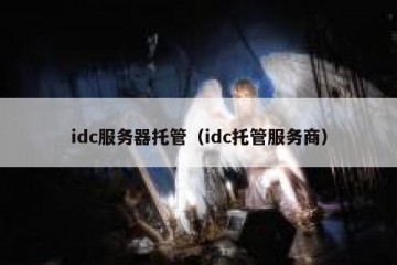 idc服务器托管（idc托管服务商）