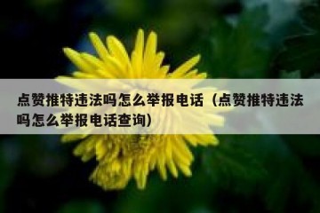 点赞推特违法吗怎么举报电话（点赞推特违法吗怎么举报电话查询）