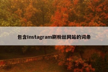 包含Instagram刷粉丝网站的词条