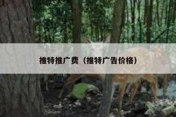 推特推广费（推特广告价格）