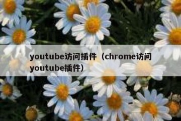 youtube访问插件（chrome访问youtube插件）