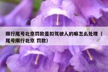 限行尾号北京罚款是扣驾驶人的嘛怎么处理（尾号限行北京 罚款）