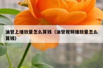 油管上播放量怎么算钱（油管视频播放量怎么算钱）