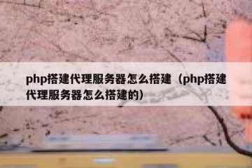 php搭建代理服务器怎么搭建（php搭建代理服务器怎么搭建的）