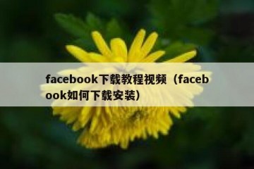 facebook下载教程视频（facebook如何下载安装）
