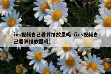 ins视频自己看算播放量吗（ins视频自己看算播放量吗）