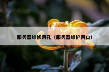 服务器维修网孔（服务器维护网口）
