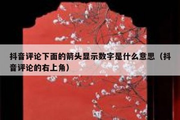 抖音评论下面的箭头显示数字是什么意思（抖音评论的右上角）