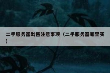 二手服务器出售注意事项（二手服务器哪里买）