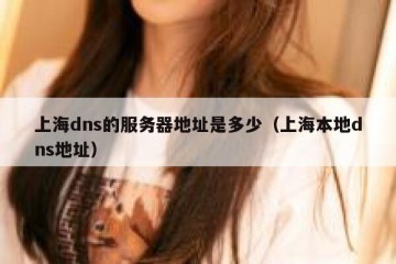 上海dns的服务器地址是多少（上海本地dns地址）