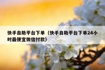 快手自助平台下单（快手自助平台下单24小时最便宜微信付款）