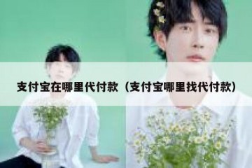 支付宝在哪里代付款（支付宝哪里找代付款）