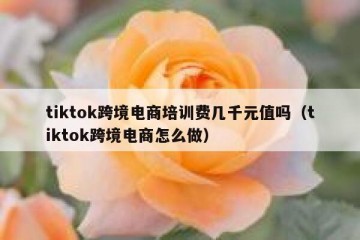tiktok跨境电商培训费几千元值吗（tiktok跨境电商怎么做）