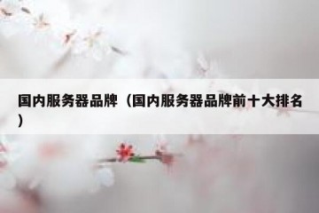 国内服务器品牌（国内服务器品牌前十大排名）