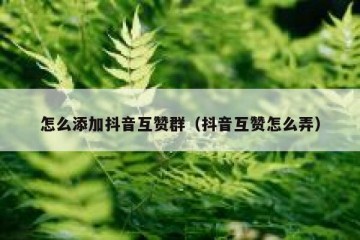 怎么添加抖音互赞群（抖音互赞怎么弄）